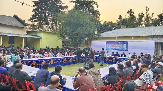 গ্যালারি ছবি